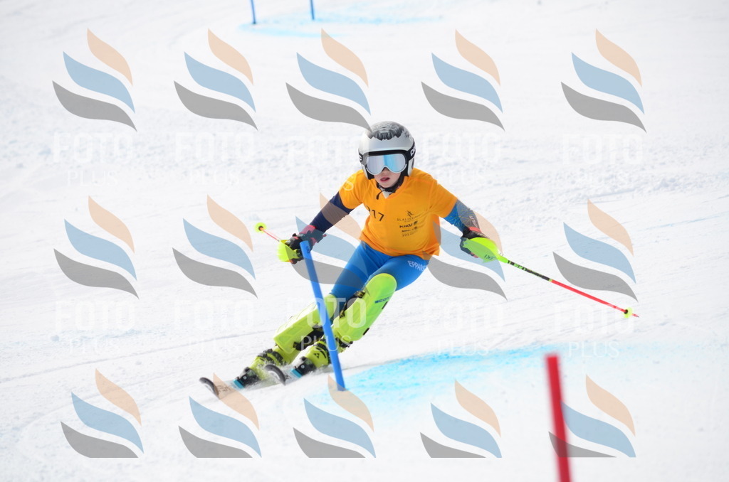 C8214 | holidayphoto