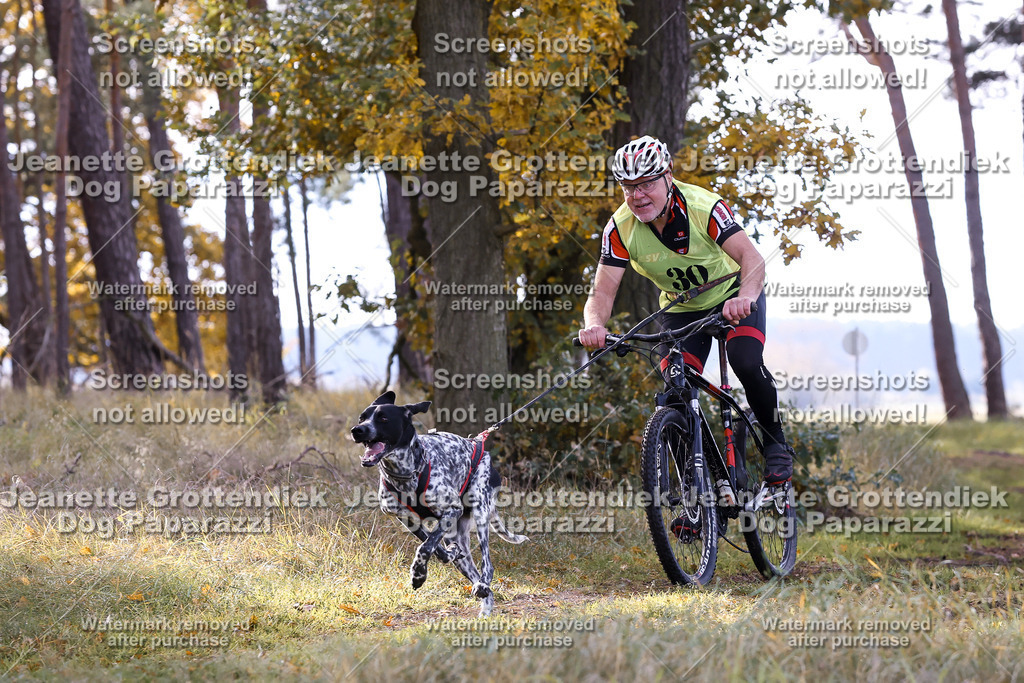 Dog Paparazzi - Elsholz 25 -125 | Dog Paparazzi Jeanette Grottendiek Fotografie & Videografie - Realisiert mit Pictrs.com