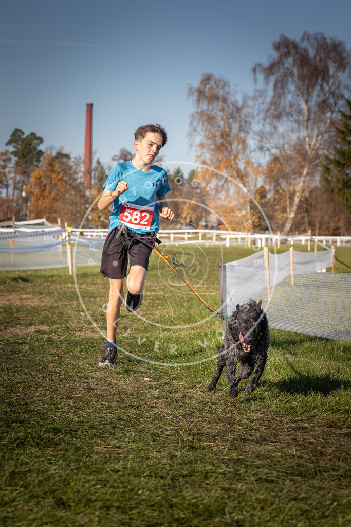 CaniXpix_0L8A8212 | Hundefotografie, Tierfotograf, Pfotenfotografie, Fotoshooting Hund, Hunde Portrait, Hundesport, Hundeportraits, Heideshooting, Hunde, Sportfotograf, Hundefotograf, Turnierhundsport, THS,  - Realisiert mit Pictrs.com