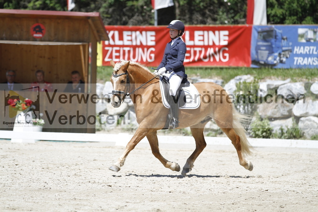 _MG_5115 | equestrian-live-com