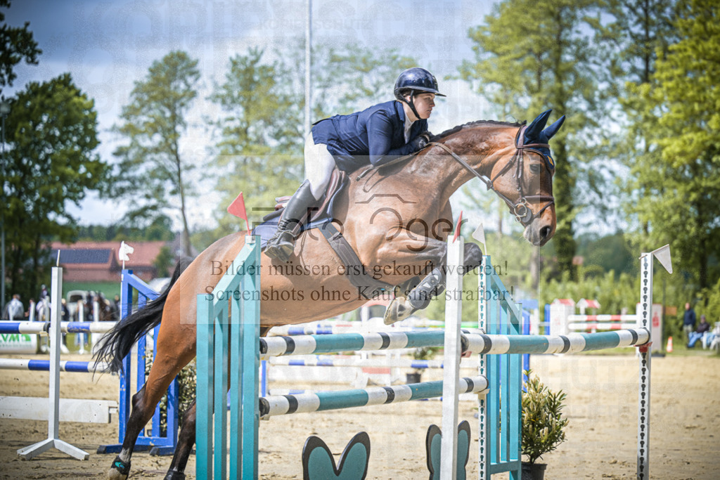 DOS_8633 | Entdecke hochwertige Reitturnierfotos von Foto Oger. Professionell, emotional und authentisch – jetzt Lieblingsmomente im Shop bestellen.Deutschlandweite Turnierfotografie. - Realisiert mit Pictrs.com