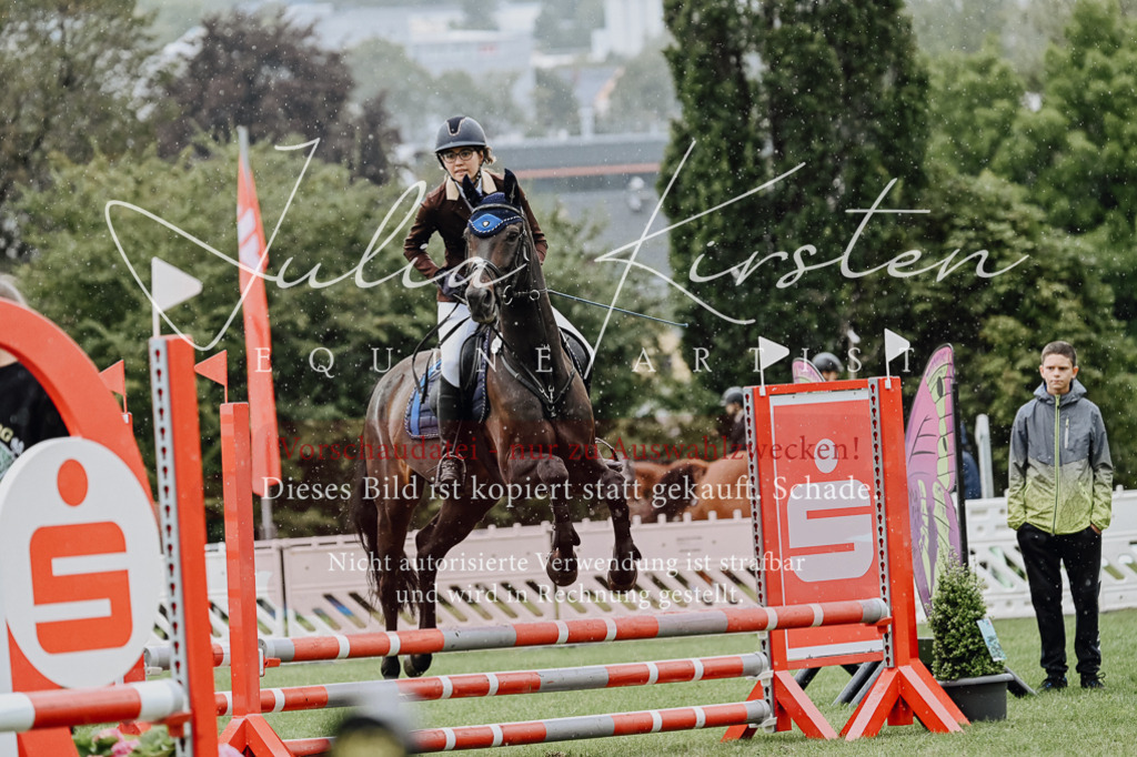DSC_6919 | Pferde- und Turnierfotografie in Westsachsen. Pferdeportraits, Auftragszeichnungen und intuitive Kunst.