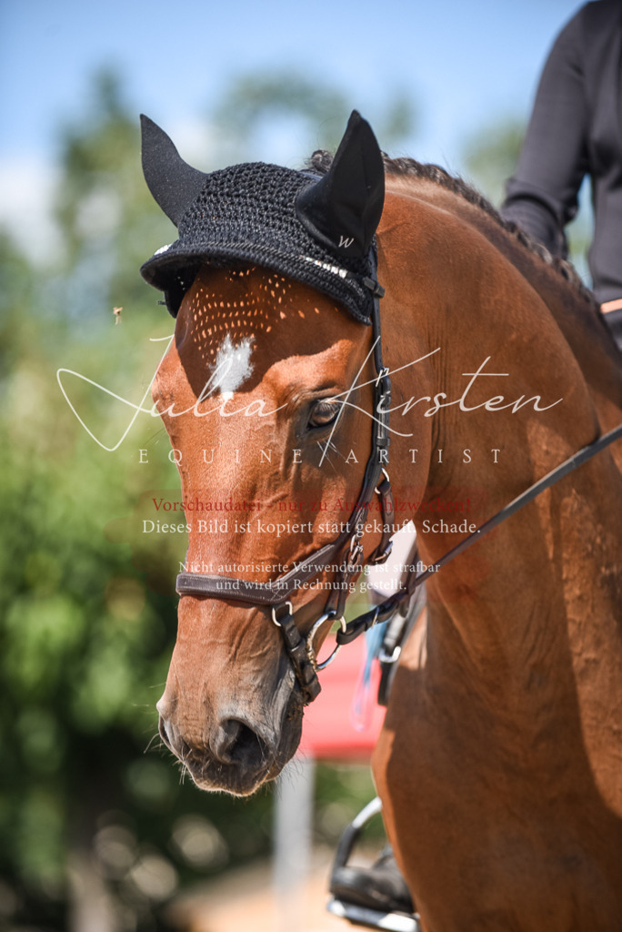 DSC_9673 | Pferde- und Turnierfotografie in Westsachsen. Pferdeportraits, Auftragszeichnungen und intuitive Kunst.