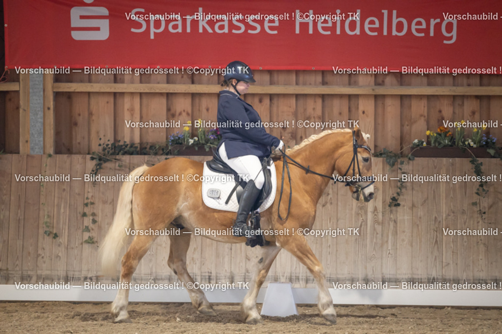 _D5A2427 | Emotionale Pferde- & People-Fotografie rund um Heidelberg, Leimen & Umgebung. Natürliche Fotos von Pferd, Mensch & Familie. Jetzt Termin sichern!