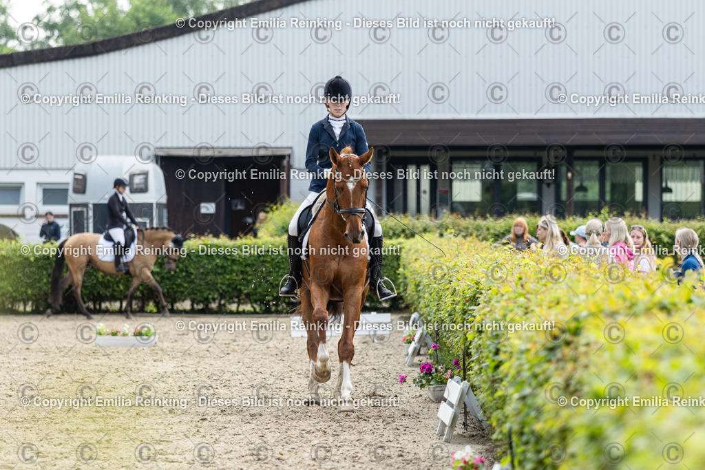 CL5A5060 | Emilia Reinking Fotografie - Realisiert mit Pictrs.com