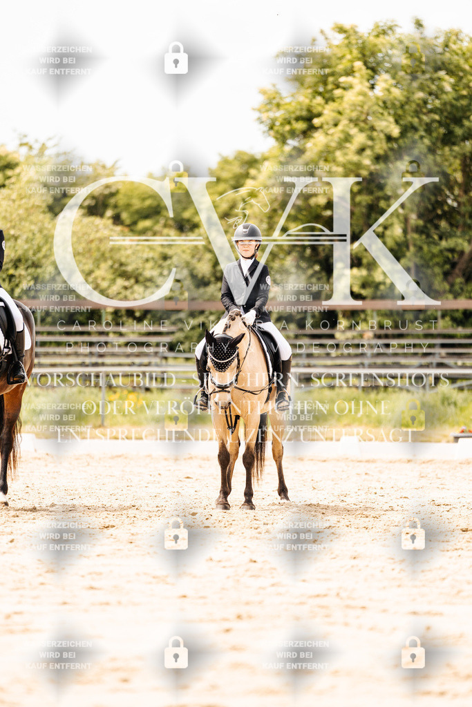 CK902617 | Turnierfotografie Pferdefotografie Trier Rheinland-Pfalz Pferdesport Reitsport Tierfotografie Sportfotografie Pferdevideo Pferdevideografie Equestrianvideography equestrianphotography  - Realisiert mit Pictrs.com