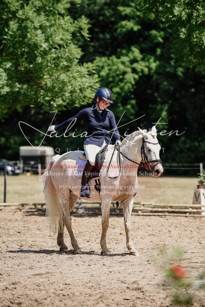 DSC_1858 | Pferde- und Turnierfotografie in Westsachsen. Pferdeportraits, Auftragszeichnungen und intuitive Kunst.