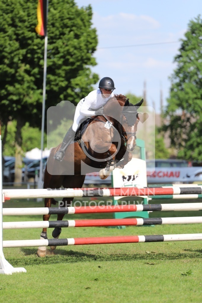 IMG_6644 | Pauline Ullmann Photography - Realisiert mit Pictrs.com