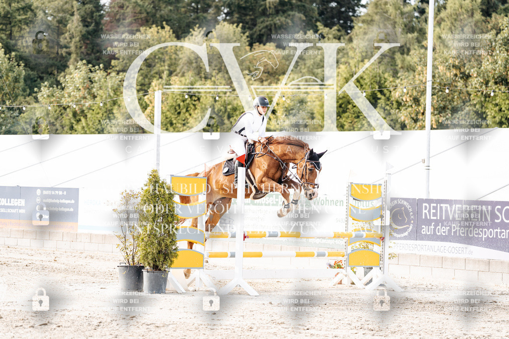 CK906936 | Turnierfotografie Pferdefotografie Trier Rheinland-Pfalz Pferdesport Reitsport Tierfotografie Sportfotografie Pferdevideo Pferdevideografie Equestrianvideography equestrianphotography  - Realisiert mit Pictrs.com