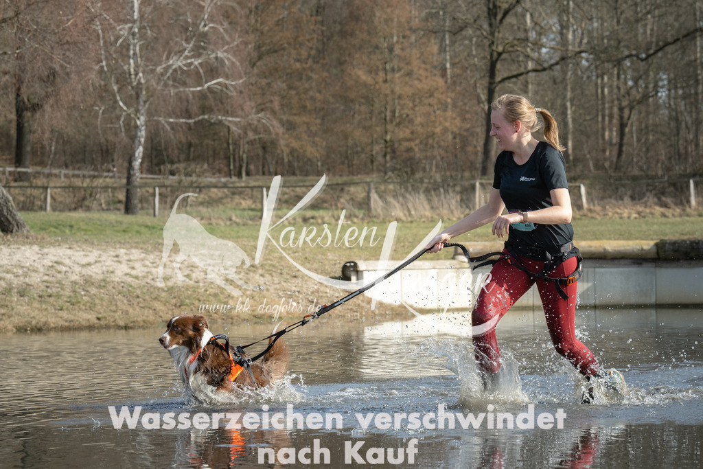 1324_ZZ96121 | kk-dogfotos