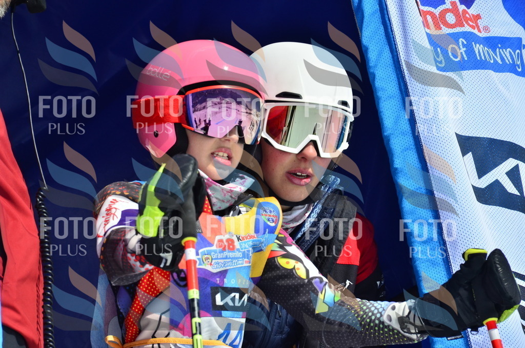 _ELE0080 | holidayphoto