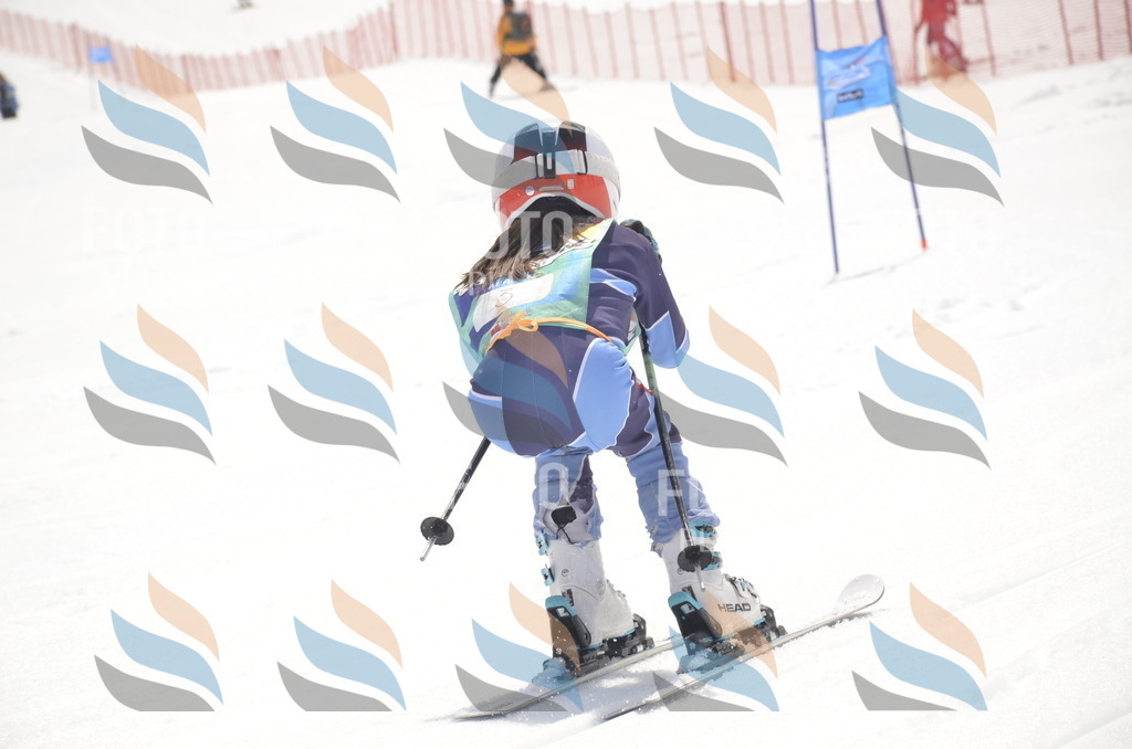 _ELE8487 | holidayphoto