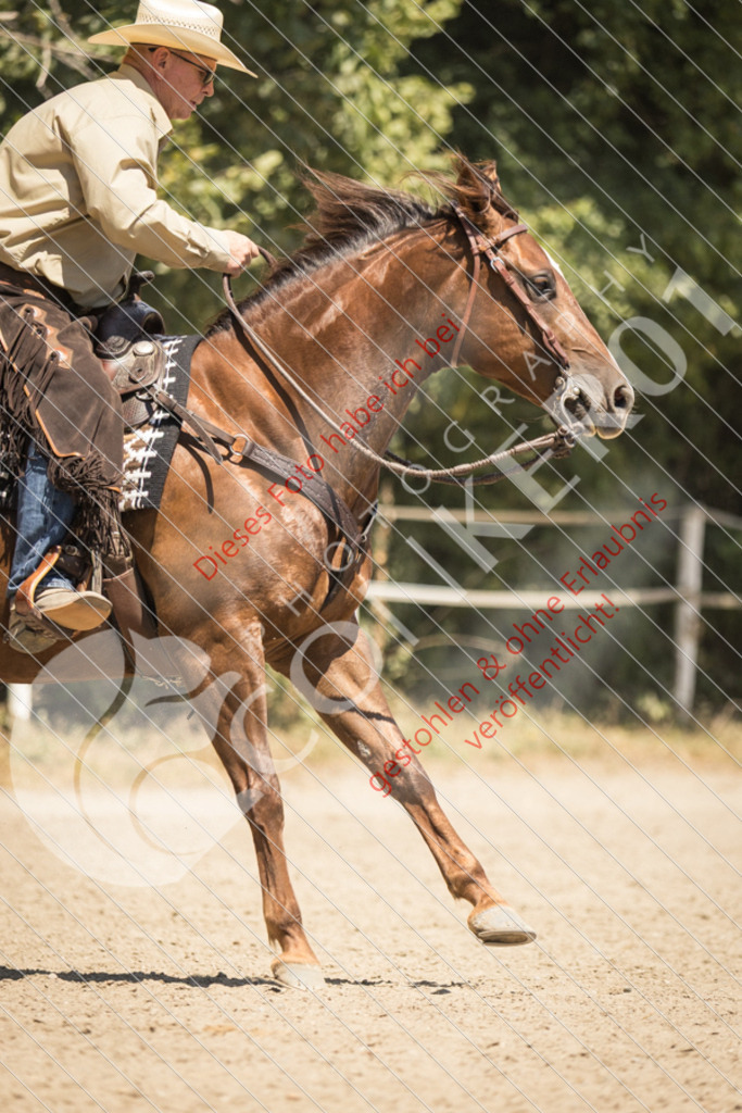 IMG_0520 | Sport-, Event- und Tierfotos in Profiqualität. Einfach auswählen, bestellen und herunterladen. Dein Moment – perfekt festgehalten.