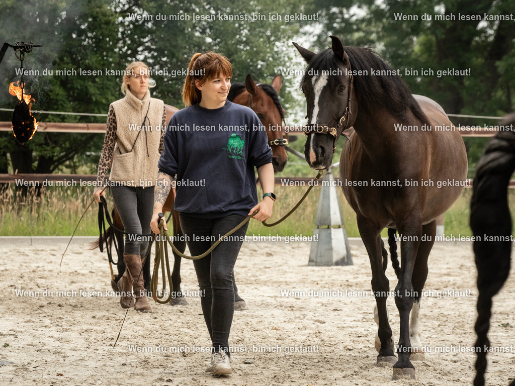 598A6429 | photographylinaismer - Realisiert mit Pictrs.com