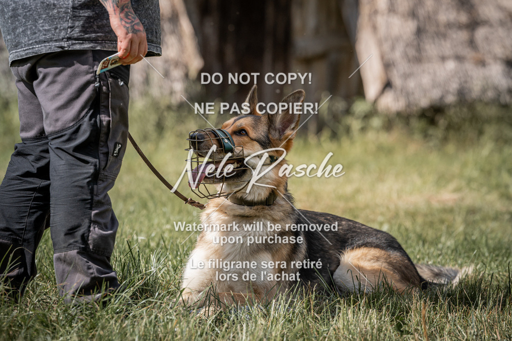 nelerasche_Do-spät_97 | nelerasche