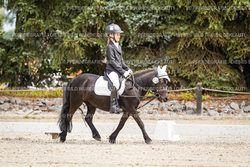 DSC02719 | Pferdegrafie