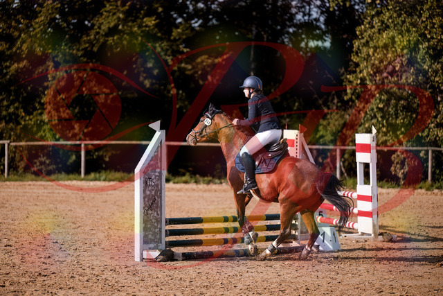 2026_10_03_Siefer-Hof_155314_Z81_72571323 | Professionelle Reitsport-, Turnier- und Eventfotografie von Robert Broda. Galerien mit ausgewählten und bearbeiteten Bildern direkt online ansehen und bestellen.