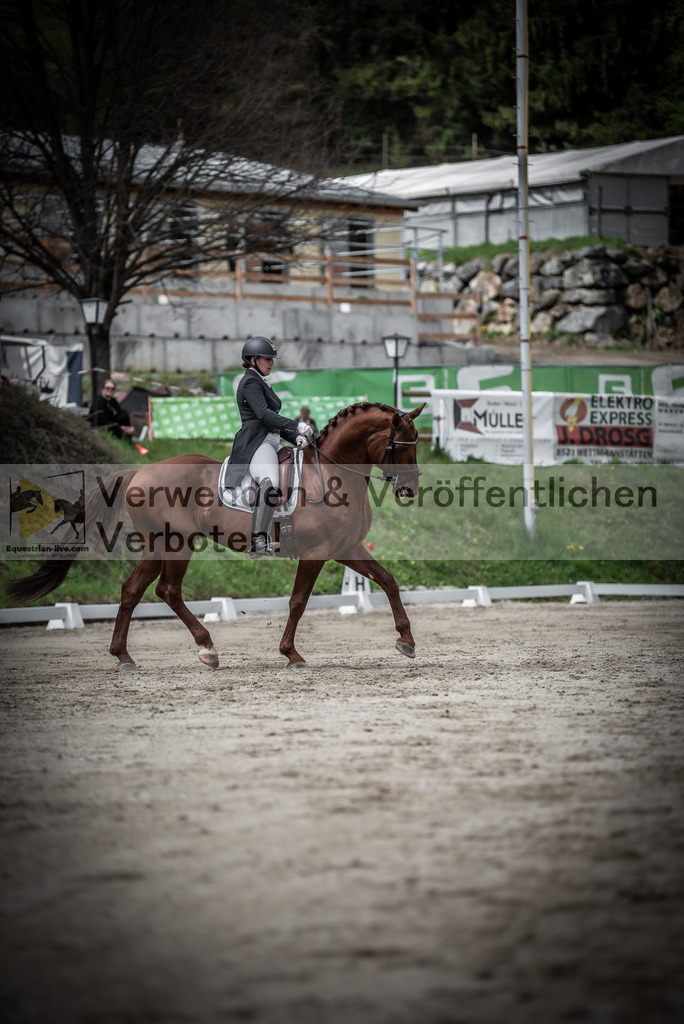 DSC_2569 | equestrian-live-com
