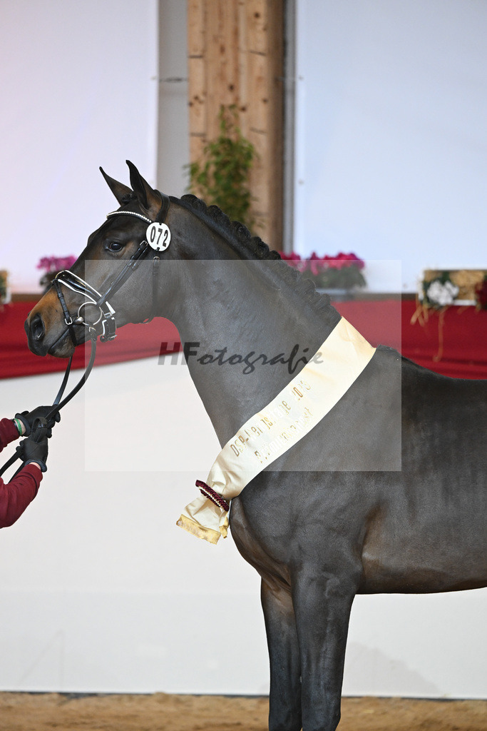 Kat-Nr. 72 Vaderland_Durrer_1232163 | hf-fotografie - Realisiert mit Pictrs.com