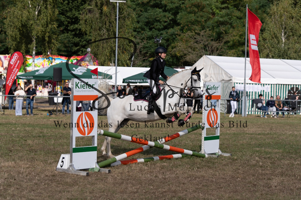 A7V08360 | Pferdefotograf