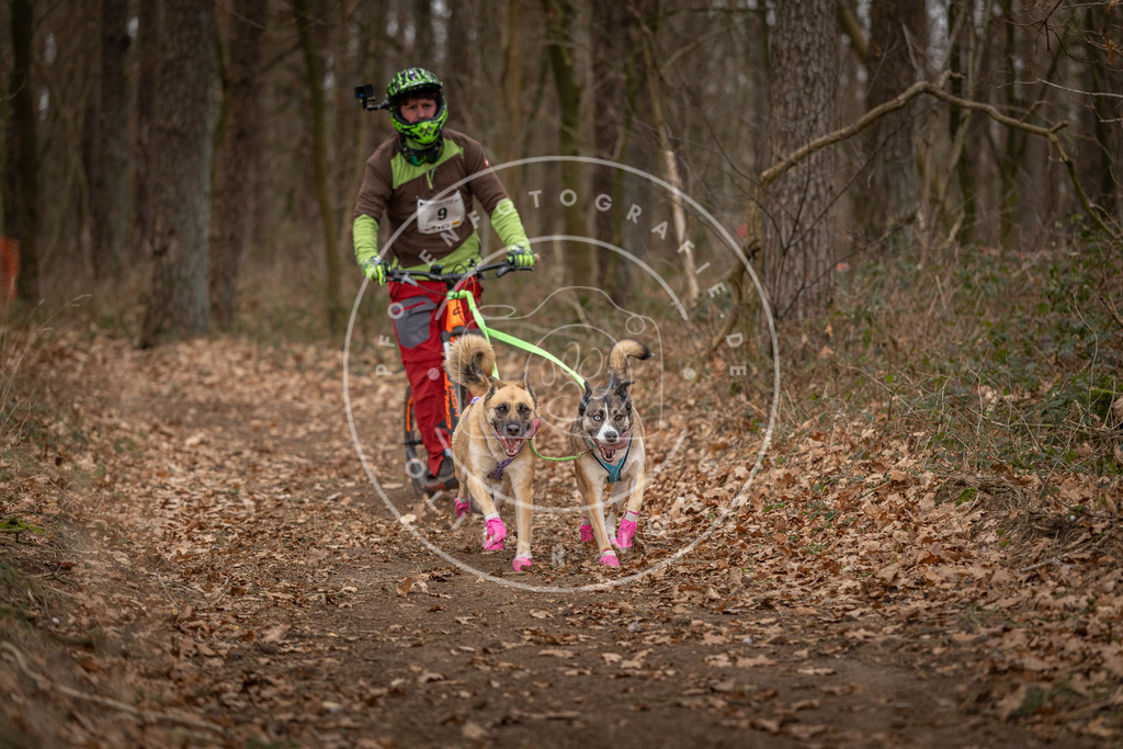 Pfotenfotografie_DV3A6702 | Hundefotografie, Tierfotograf, Pfotenfotografie, Fotoshooting Hund, Hunde Portrait, Hundesport, Hundeportraits, Heideshooting, Hunde, Sportfotograf, Hundefotograf, Turnierhundsport, THS,  - Realisiert mit Pictrs.com