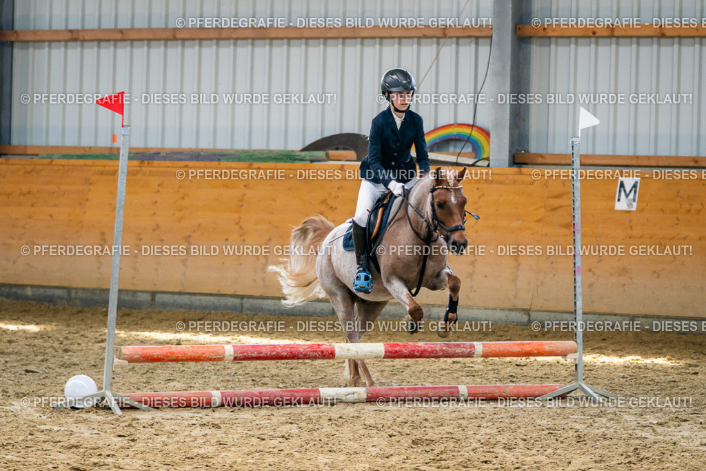 DSC02347 | Pferdegrafie