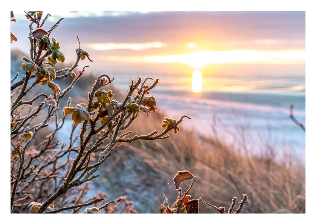 Motiv 105 | Eilun-Art-Fotografie Levke Martens, ihre Fotografin für Immobilien- und Landschaftsfotografie auf Föhr, Föhrer Motive als Poster, Leinwand, hinter Acrylglas oder stelle dir deinen eigenen Monatskalender zusammen, mit nur einem Klick
