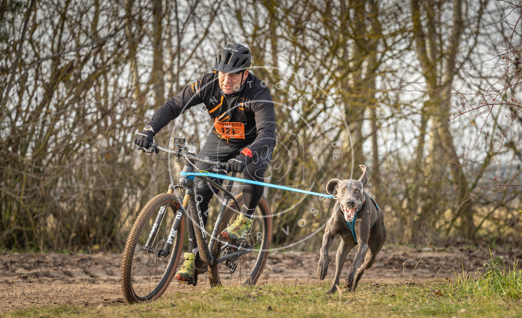 Pfotenfotografie_DV3A8431 | Hundefotografie, Tierfotograf, Pfotenfotografie, Fotoshooting Hund, Hunde Portrait, Hundesport, Hundeportraits, Heideshooting, Hunde, Sportfotograf, Hundefotograf, Turnierhundsport, THS,  - Realisiert mit Pictrs.com
