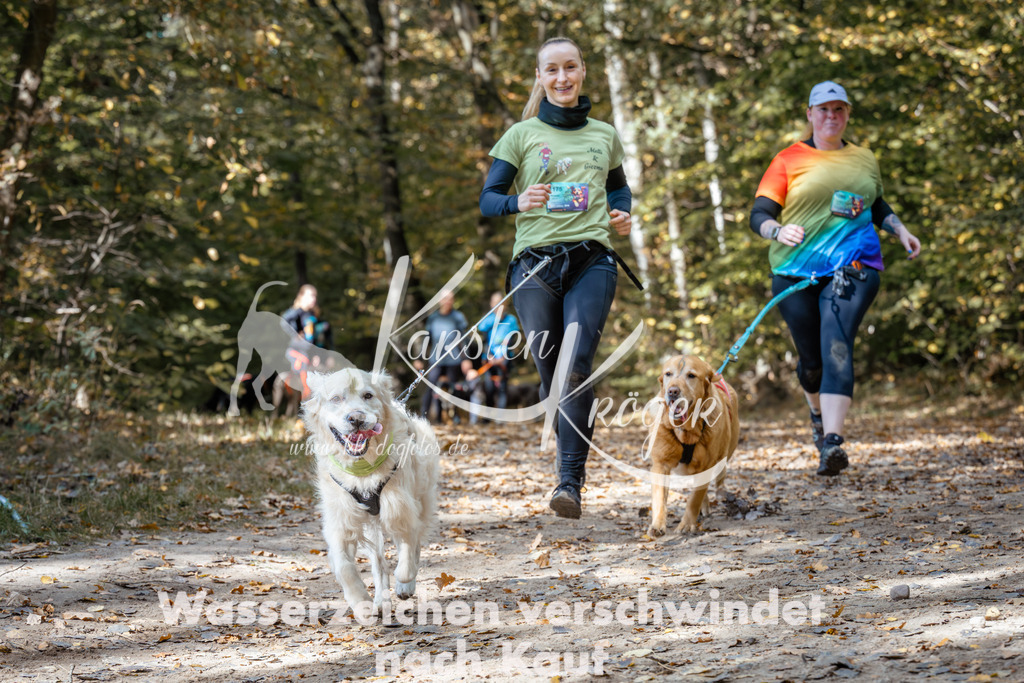 1254_ZZ96560 | kk-dogfotos