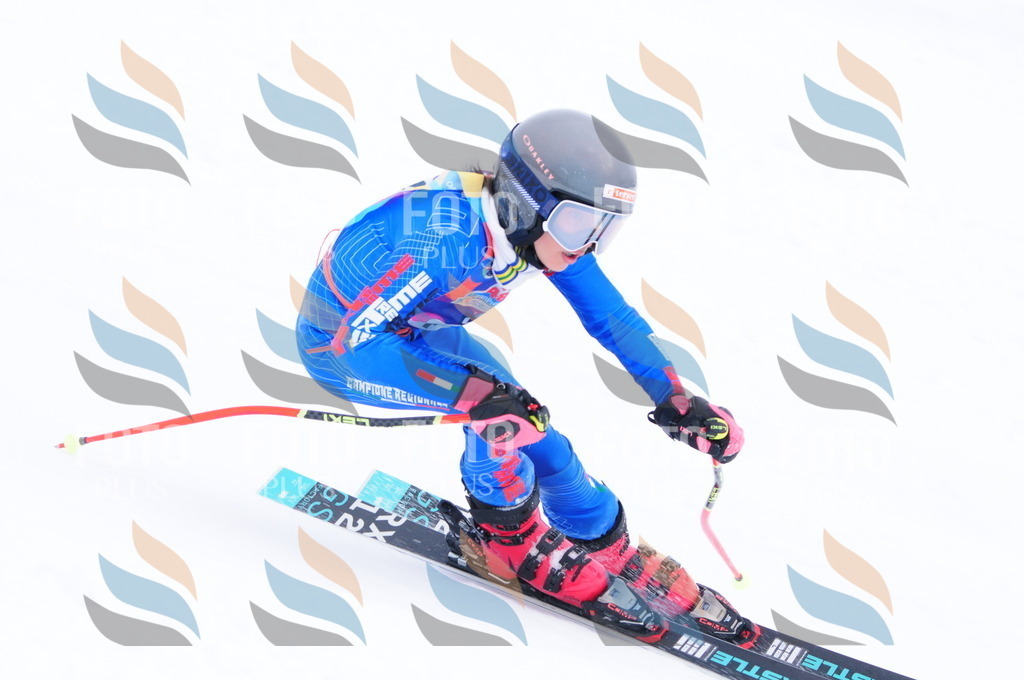 C4317 | holidayphoto