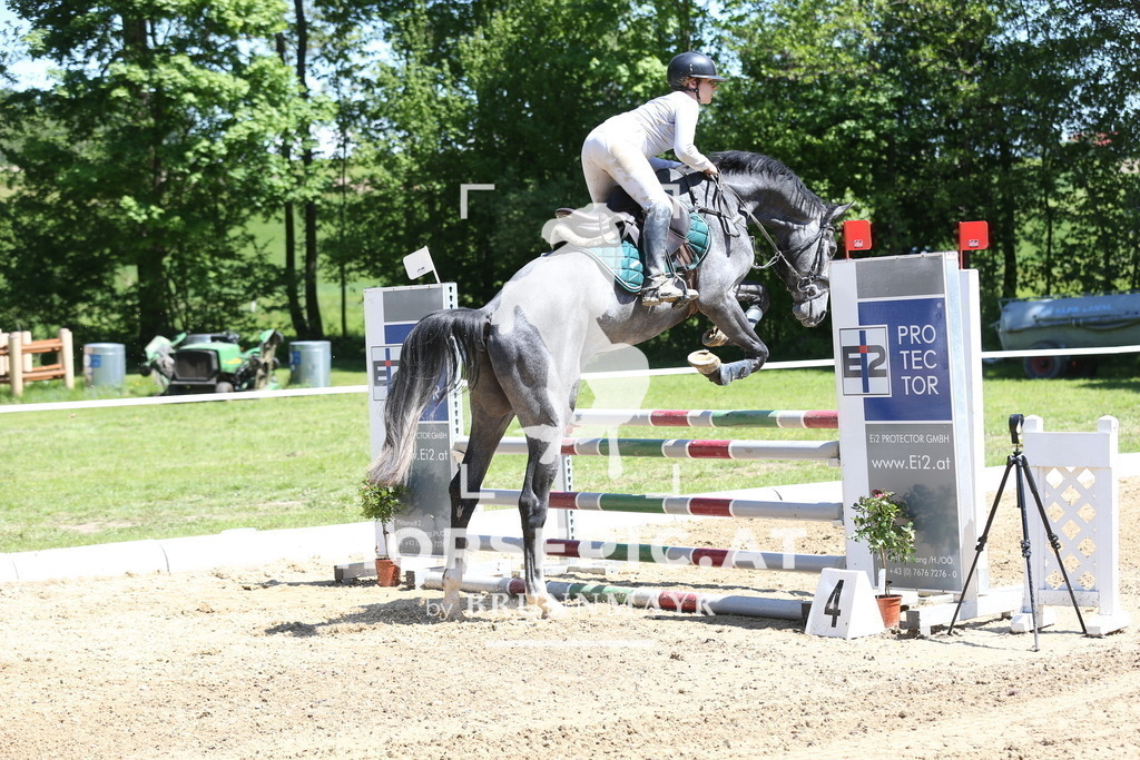 DL2Q1411 | Willkommen bei Brunnmayr - Design & Fotografie – Ihrem Spezialisten für Reitturniere und Pferdeveranstaltungen in Oberösterreich, Salzburg und Bayern! Seit über 17 Jahren sind wir leidenschaftlich dabei.