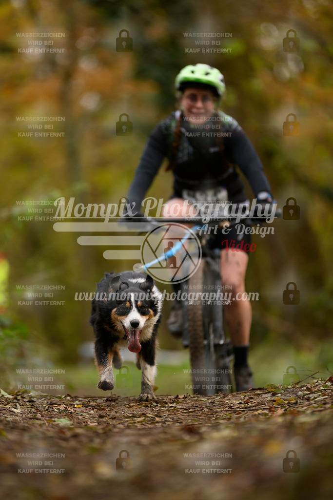 MompixPhotography_Bischwiller24_SA_VTT-68 | PayLife