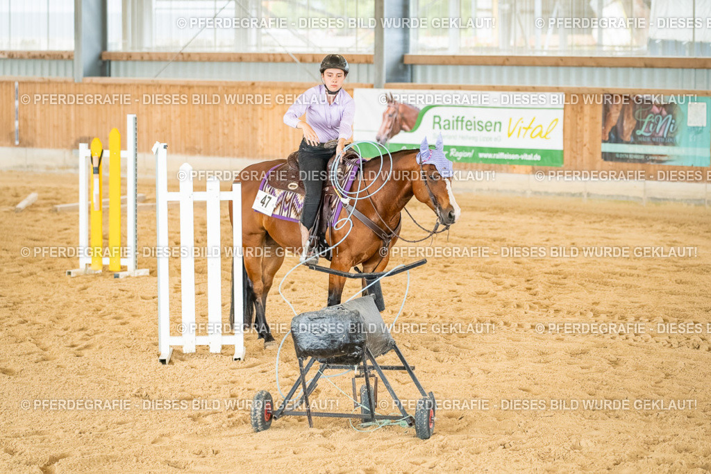 DSC07156 | Pferdegrafie