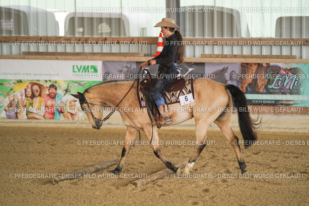 DSC01489 | Pferdegrafie