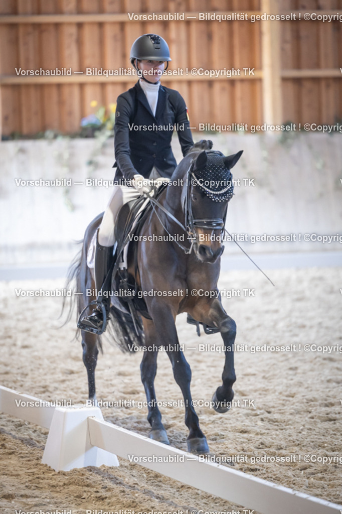 _D5A5172 | Emotionale Pferde- & People-Fotografie rund um Heidelberg, Leimen & Umgebung. Natürliche Fotos von Pferd, Mensch & Familie. Jetzt Termin sichern!