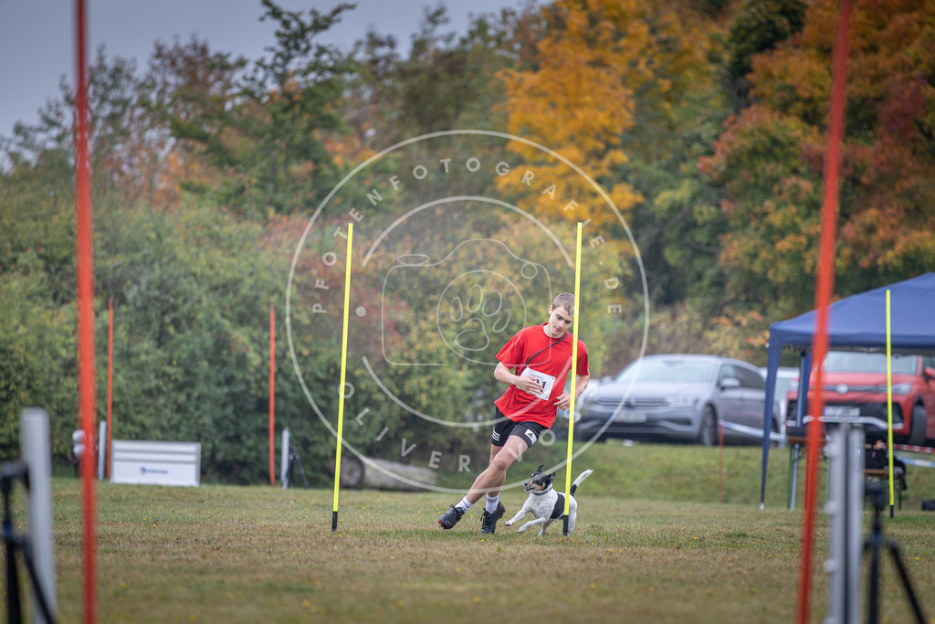 Pfotenfotografie_DV3A0281 | Hundefotografie, Tierfotograf, Pfotenfotografie, Fotoshooting Hund, Hunde Portrait, Hundesport, Hundeportraits, Heideshooting, Hunde, Sportfotograf, Hundefotograf, Turnierhundsport, THS,  - Realisiert mit Pictrs.com
