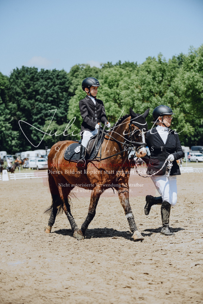 DSC_2229 | Pferde- und Turnierfotografie in Westsachsen. Pferdeportraits, Auftragszeichnungen und intuitive Kunst.