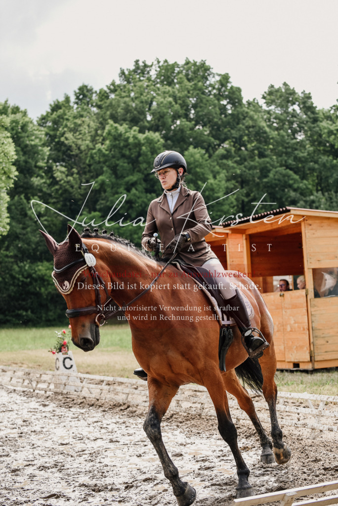 DSC_9504 | Pferde- und Turnierfotografie in Westsachsen. Pferdeportraits, Auftragszeichnungen und intuitive Kunst.