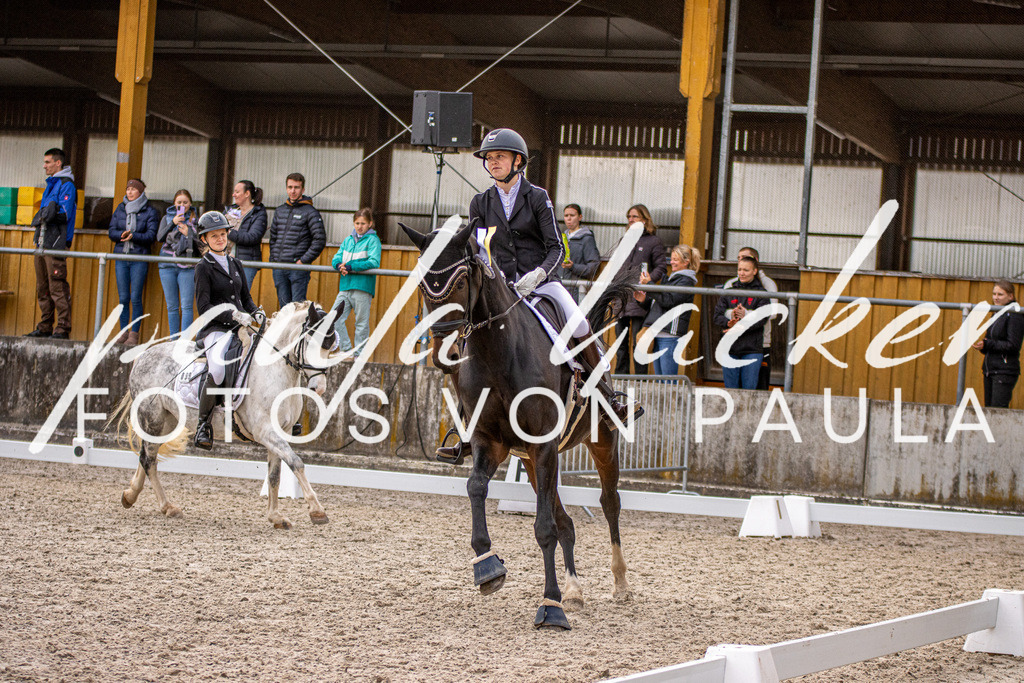 IMG_3061 | Erleben Sie dynamische Sport- und emotionale Tierfotografie in Süddeutschland mit Fotos von Paula. Spezialisiert auf Pferde- und Hundefotografie sowie Sportevents. Kontaktieren Sie mich für einzigartige und ausdrucksstarke Bilder Ihrer besonderen Momente. - Realisiert mit Pictrs.com