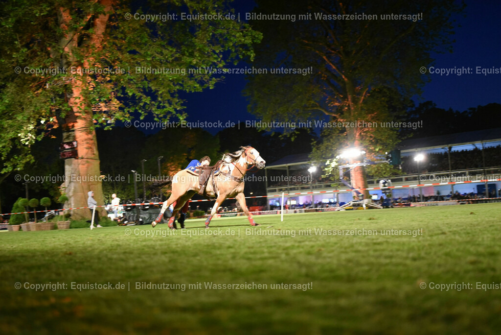 20230526_Pferdenacht_1336 | equistock