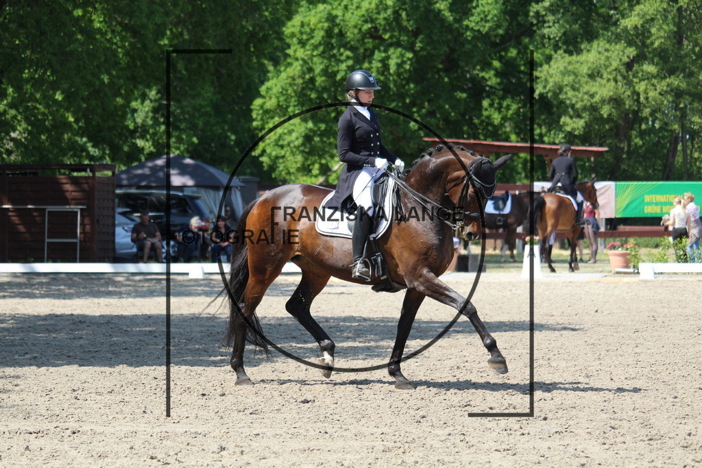 IMG_4926 | franziskalange - Realisiert mit Pictrs.com