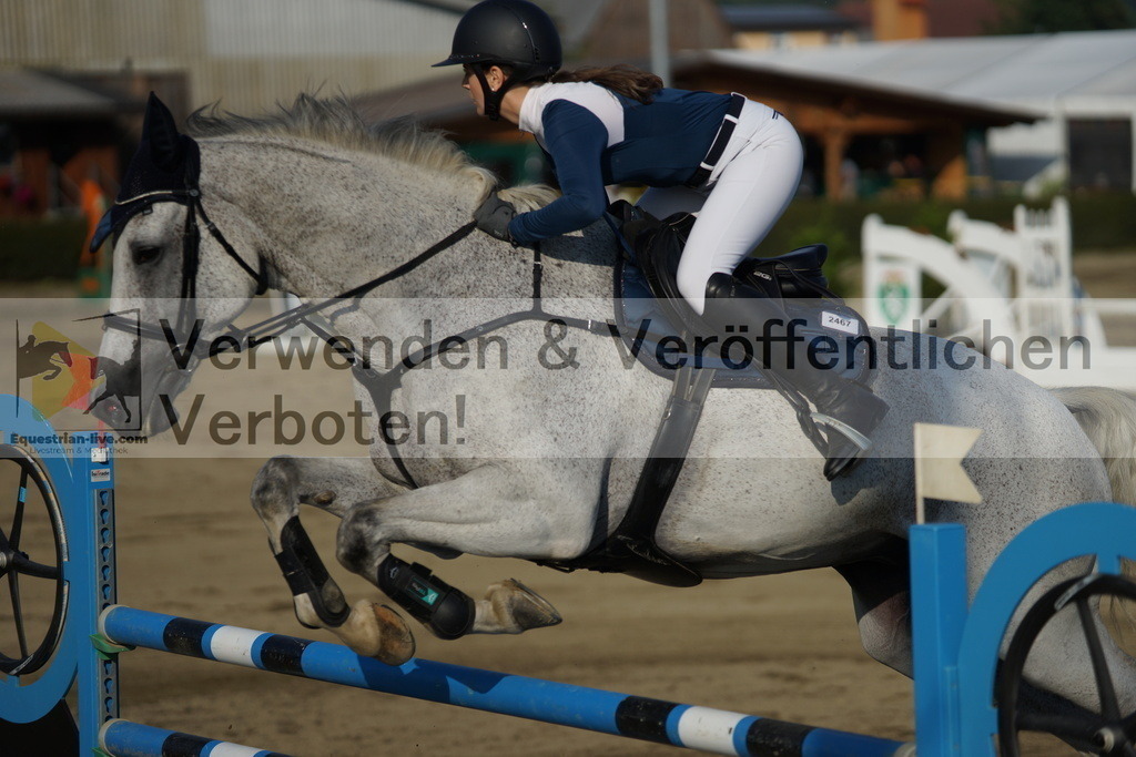 DSC00646 | equestrian-live-com