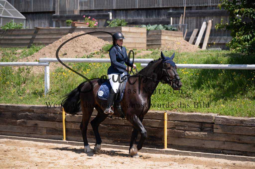 A7V08115 | Pferdefotograf