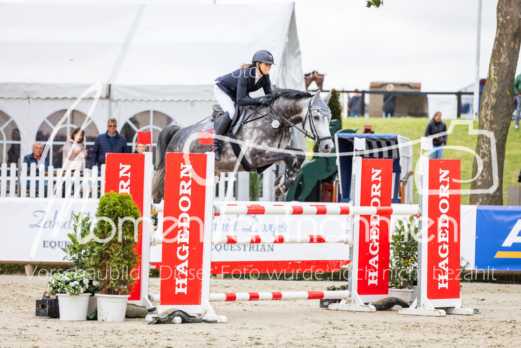 BHO-2PhSpr-M-5-2133 | MomenTaufnahmen Pferdesportfotos