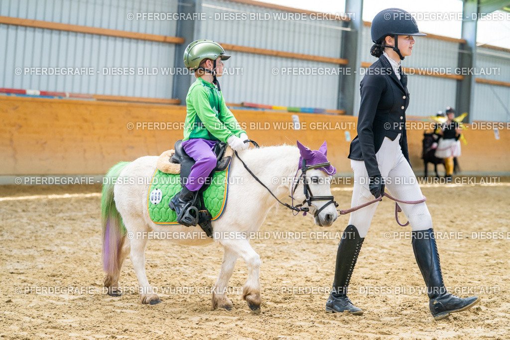 DSC09940 | Pferdegrafie