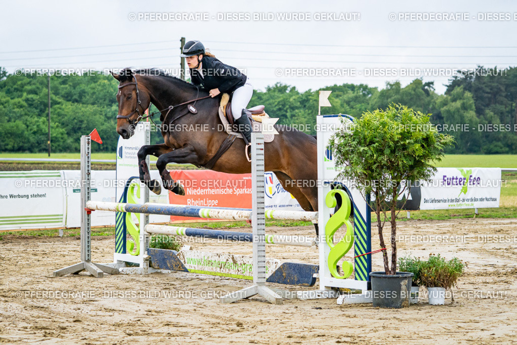 DSC02130 | Pferdegrafie