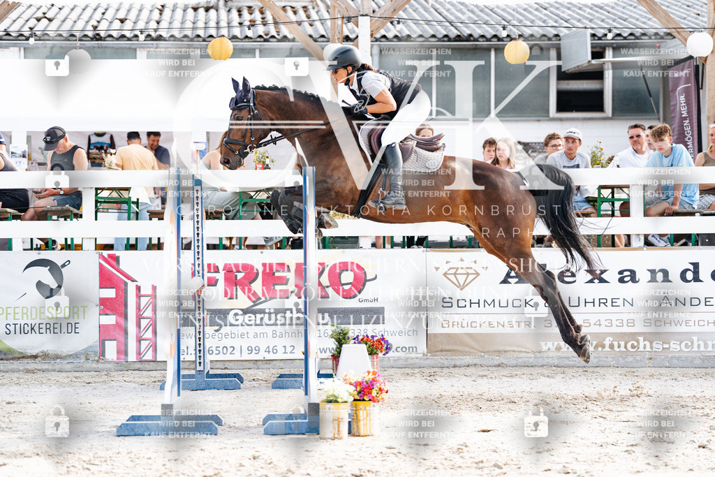 CK906309 | Turnierfotografie Pferdefotografie Trier Rheinland-Pfalz Pferdesport Reitsport Tierfotografie Sportfotografie Pferdevideo Pferdevideografie Equestrianvideography equestrianphotography  - Realisiert mit Pictrs.com