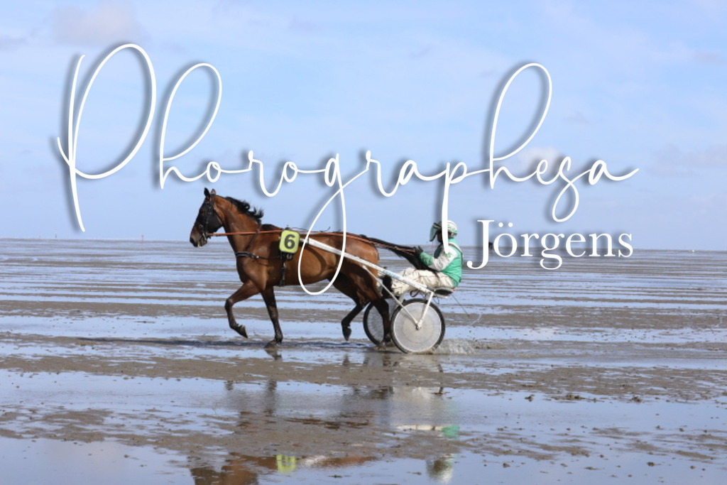 IMG_7958 | photographesa-joergens - Realisiert mit Pictrs.com