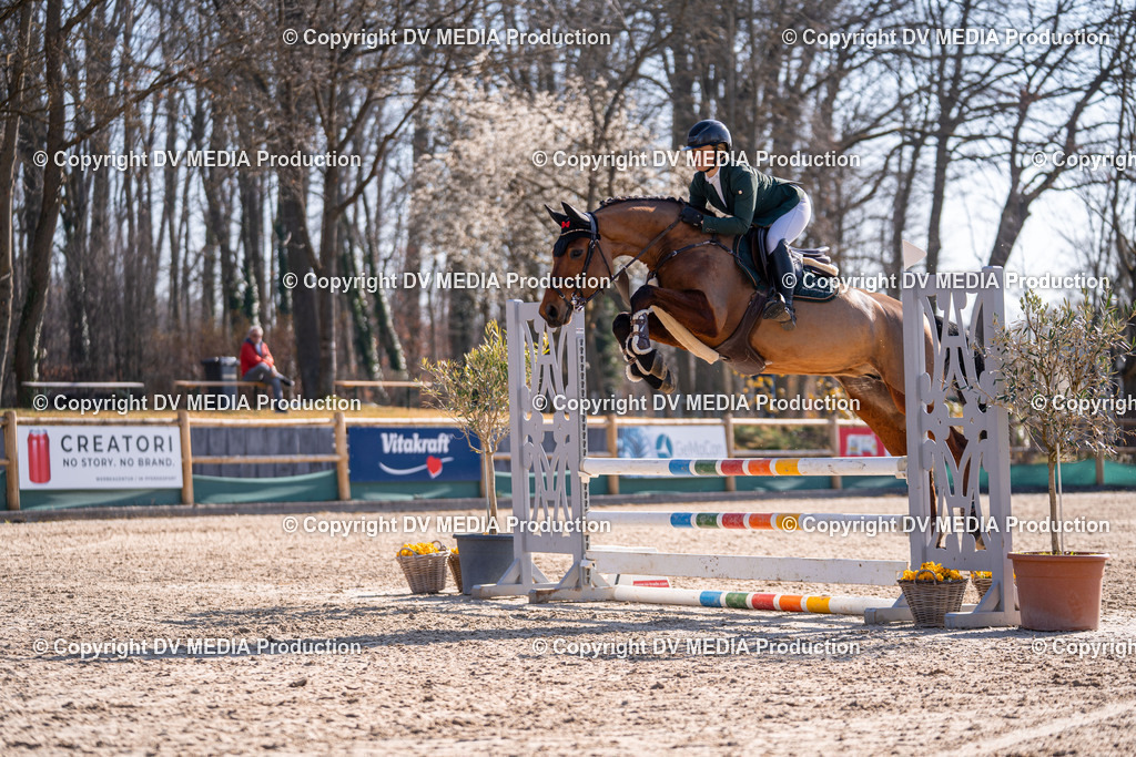 Kranichstein Tag 1-262 | dv-media-shop - Realisiert mit Pictrs.com