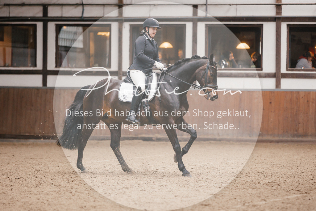 3I6A6636 | Stimmungsvolle Portraits und Reitsportfotografie im Ruhrgebiet und im Münsterland.

Pferdefotografie, Hundefotografie, Tierfotografie, Reportagen, Portraits von Tier und Mensch, Turnierfotografie in Bochum, Recklinghausen, Marl, Haltern am See, Dülmen.. - Realisiert mit Pictrs.com